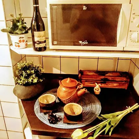 Apartment Turul *