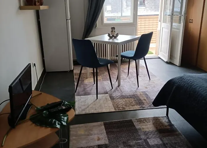 Apartament Turul *
