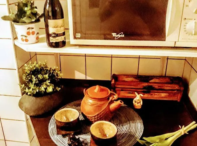 Apartament Turul *